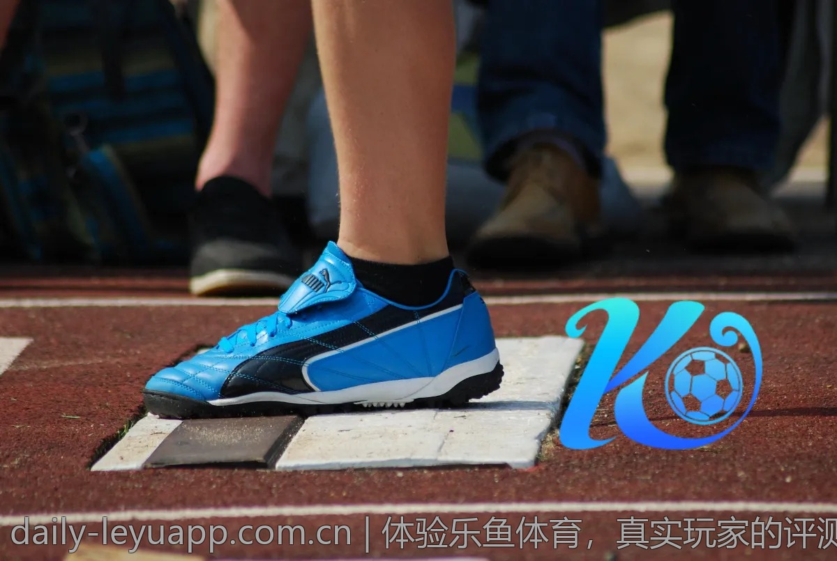 体验乐鱼体育，真实玩家的评测与心得