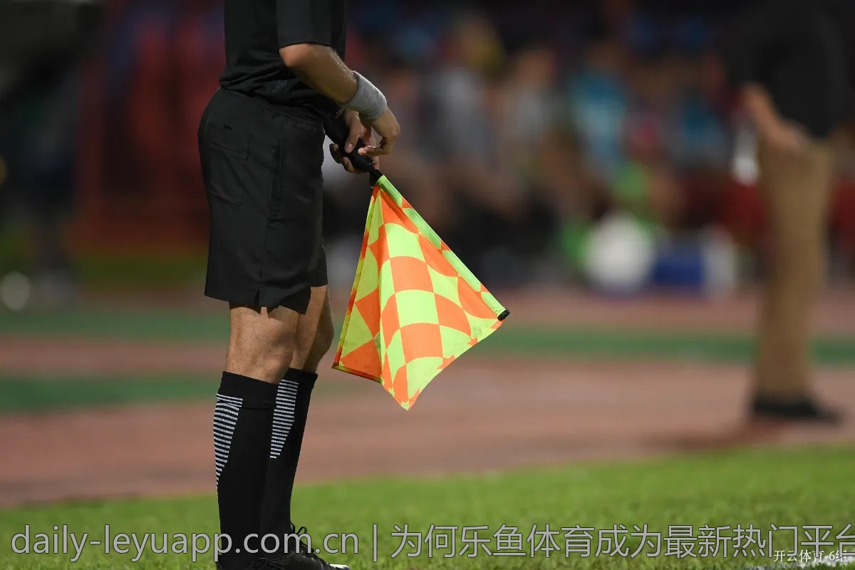 为何乐鱼体育成为最新热门平台，内幕分析