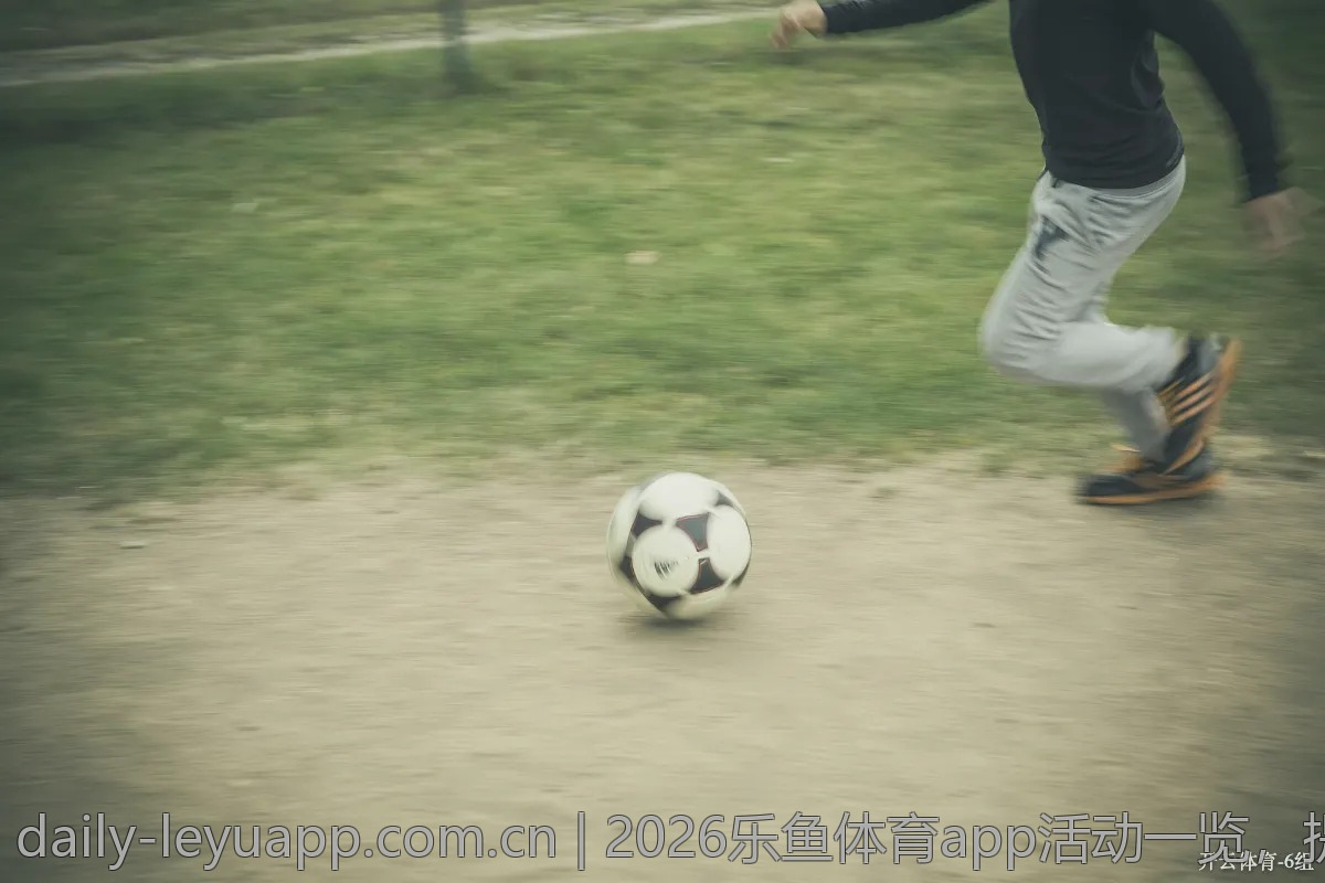 2026乐鱼体育app活动一览，提前做好准备