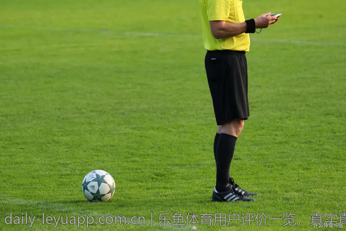 乐鱼体育用户评价一览，真实真相曝光