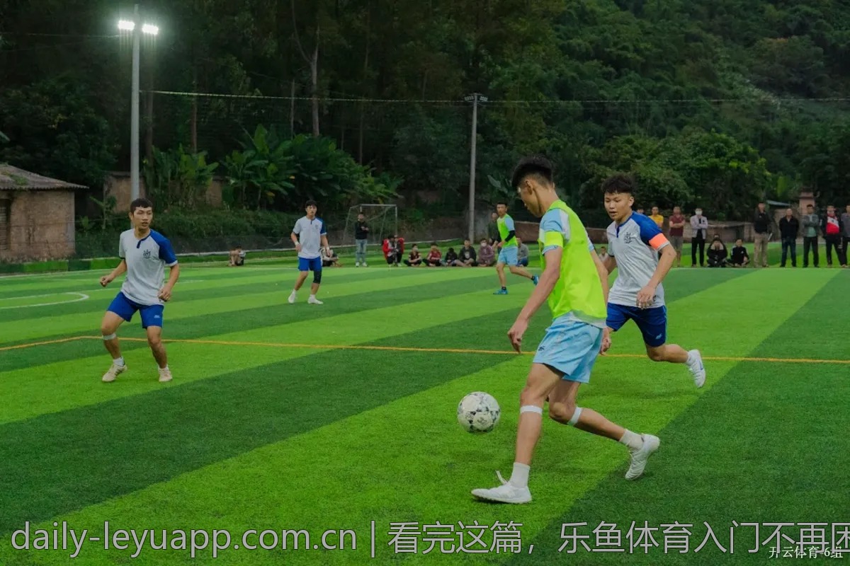 看完这篇，乐鱼体育入门不再困难