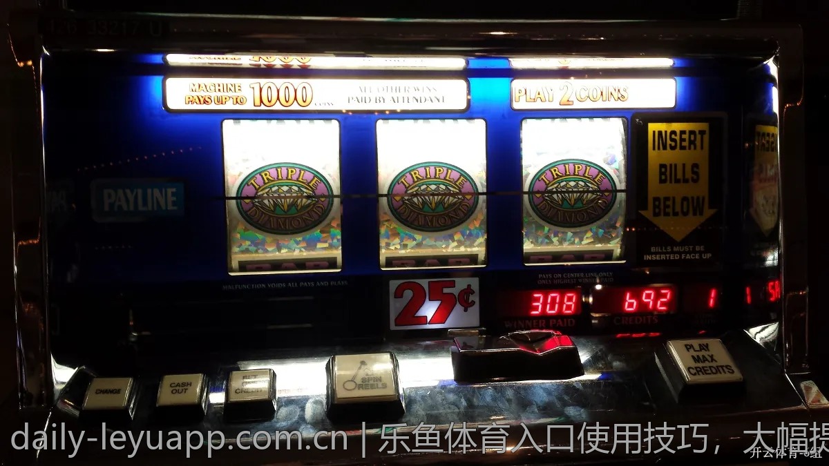 乐鱼体育入口使用技巧，大幅提升游戏乐趣
